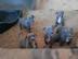M�nnlicher und weiblicher Pitbull Welpe