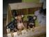 Zwergpinscher-Zwergrehpinscher-Rehpinsch