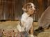 Catahoula - Louisiana Leopard Dog Welpen