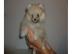 s��e Pomeranian - Zwergspitz Babys