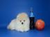 Pomeranian-Welpen whatsapp+237676636891