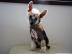 Chinesischer Schopfhund � Top Welpen
