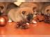 Wundersch�ne Shiba Inu Welpen