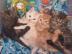 Maine Coon Babys Kitten mit Papieren zu