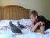 Entz�ckende Graupapageien f�r Annahme