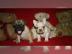 Franz�sische Bulldoggen R�den