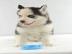 Reinrassige Pomsky Welpen