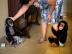 BABY CHIMPANZEE-AFFEN
