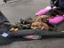 Doberman Pinscher Welpen