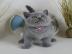 Sch�ne gesunde m�nnliche und weibliche b