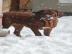 Dogue de Bordeaux, Bordeauxdogge