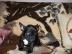 franz�sische Bulldogge