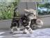 BHK Silber Tabby Klassik - Black Silver