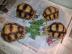 Sulcata und yniphora Schildkr�ten zum Ve