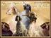Welpen English Setter