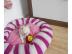 S�SSER- KLEINER- CHIHUAHUA- JUNGE- IN--