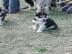 2 Weibchen,und 1 R�de suchen noch ein ne