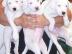 Reinrassige Dogo Argentino Welpen