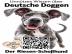 Deutsche Dogge Welpen Buch Ausstattung