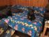 Franz�sische Bulldoggen Welpen in blue