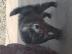 Treffen Sie diese einfach s��en, s��en
