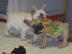 m�nnlichen und weiblichen Franz�sisch Bu