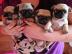 Die fantastischen vier reinrassige Mopsw