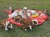 Englisch Bulldog Welpen whatsapp nummer