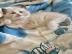 Ragdoll-K�tzchen mit Stammbaum
