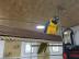 Traumhaftes Gelbbrustara P�rchen