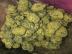 Kush, pain killer drugs