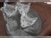 Wundersch�ne Reinrassige BKH Kitten