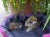 patricia. kerstin@gmail. com