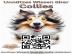 Hunde Buch Unn�tzes Wissen �ber Collies