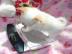 Reinrassige chihuahua welpen Babys suche