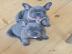 Wundersch�ne Blaue Franz�sische Bulldogg