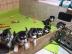 Reinrassige Husky Welpen