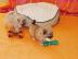 Bolonka - Zwetna - Puppies