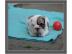 Englische Bulldogge Welpen,,