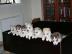 Geschenk SYBERIAN Husky-Welpen f�r ein g