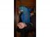 Handzahme weiblich Ara Papagei f�r die A