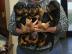 S��e Rottweiler Welpen
