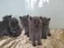 Reinrassige BKH Babies