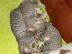 Niedliche F7 SBT Savannah K�tzchen