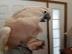 MOLUCCAN COCKATOO ZU VERKAUFEN
