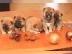 Wundersch�ne Shiba Inu Welpen