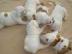 Englisch Bulldog Welpen welpen Hybriden