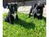 Franz�siche Bulldoggen Welpen