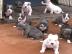 S??en Blueline AmStaff/ Pitbull Terrier*
