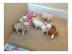Zucker s��e chihuahua welpe zu verkaufen